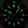 Наручные часы Orient RE-AU0307E00B