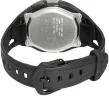 Наручные часы Casio STR-300C-1