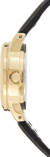 Наручные часы Casio LTP-V002GL-7B