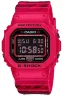 Наручные часы Casio  DW-5600JAH24-4