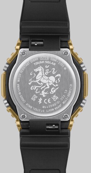Casio GBM-2100CX-9A